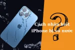 Hướng dẫn nhận biết iPhone đã rơi vào nước hay chưa