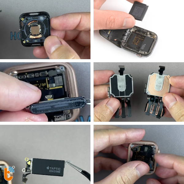 thay-vo-apple-watch-series-5-1