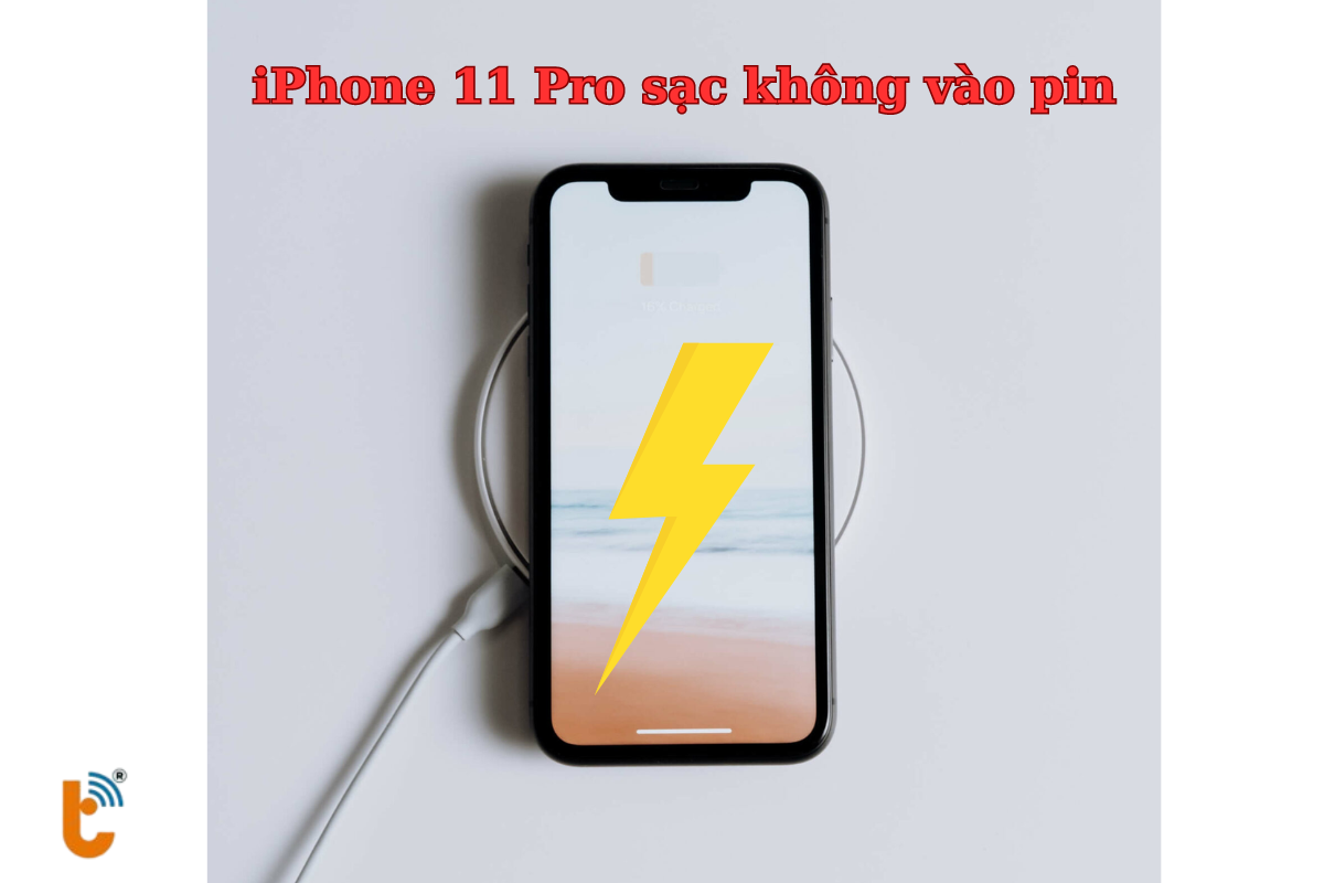 iPhone 11 Pro sạc không vào pin