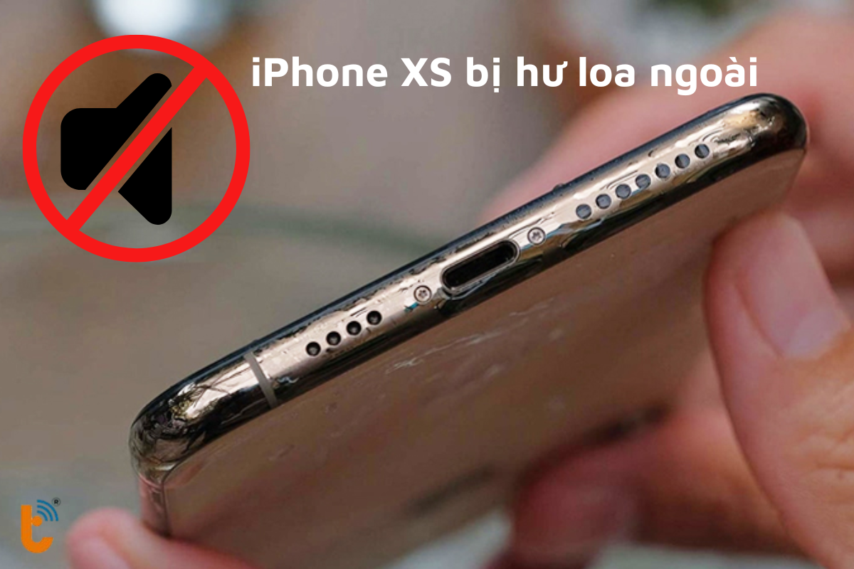 iPhone XS bị hư loa ngoài