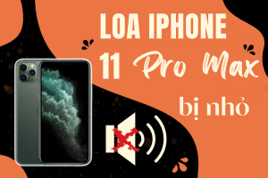 Loa iPhone 11 Pro Max bị nhỏ - Cách sửa lỗi hiệu quả cho người dùng