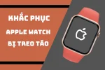 Lý do và giải pháp khắc phục Apple Watch bị treo táo