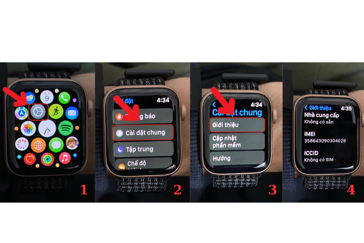 Kiểm tra số IMEI trong phần cài đặt của Apple Watch