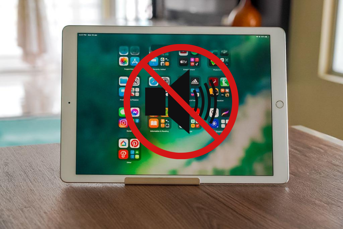 Loa iPad 12.9 2017 bị mất tiếng