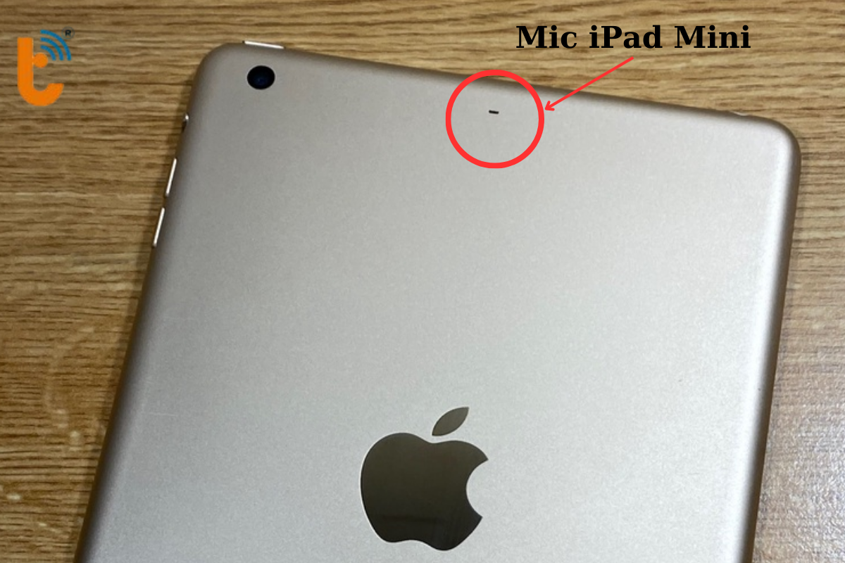 Mic sau iPad Mini 3,2,1
