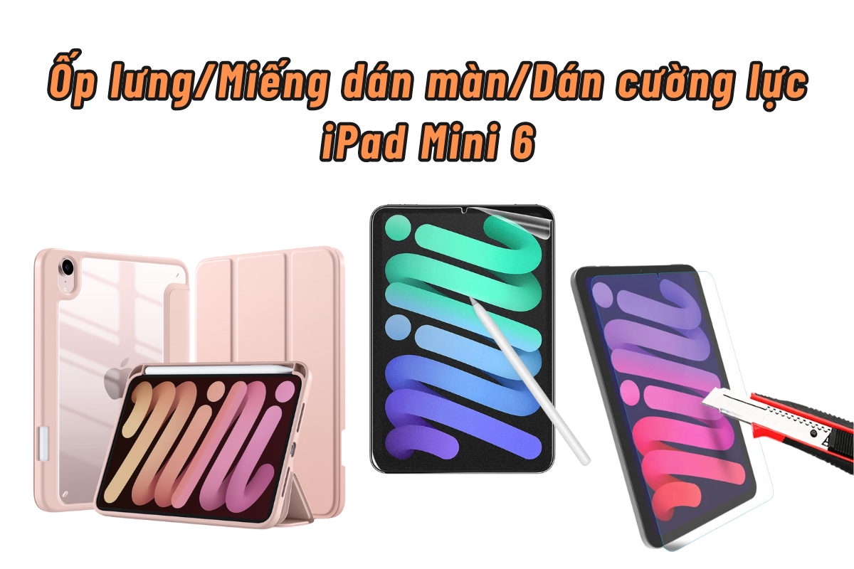 Case iPad Mini 6