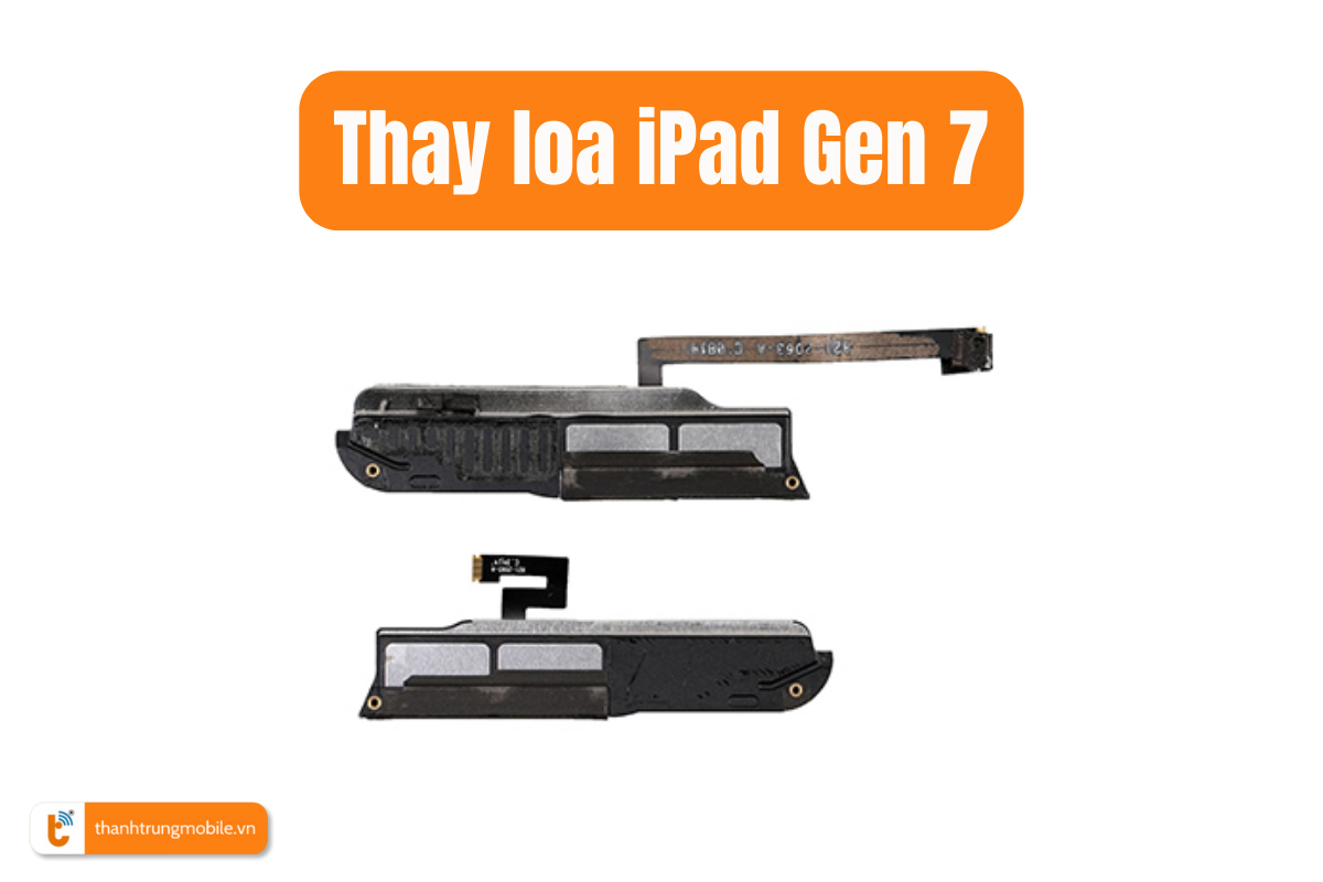 Thay loa iPad Gen 7