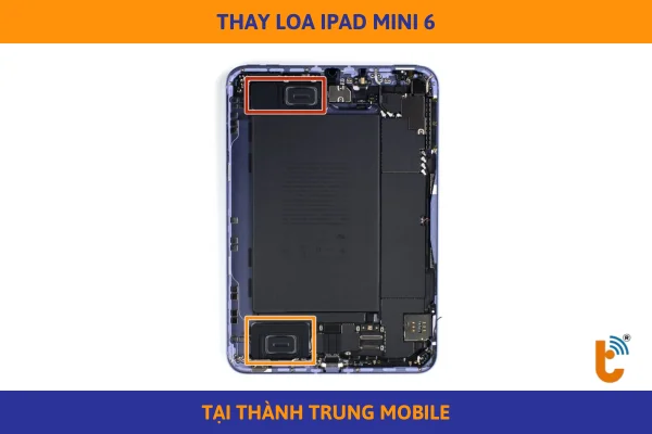 thay-loa-ipad-mini-6-anh-gioi-thieu