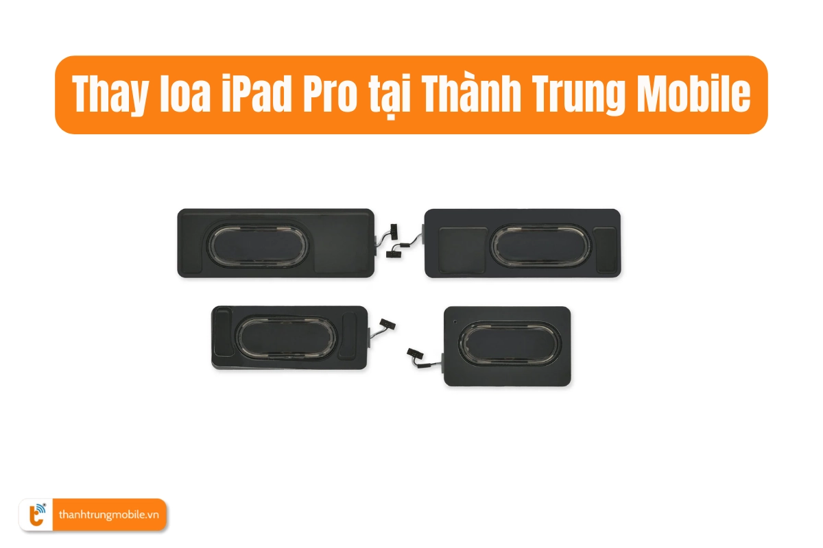 Thay loa iPad Pro 
