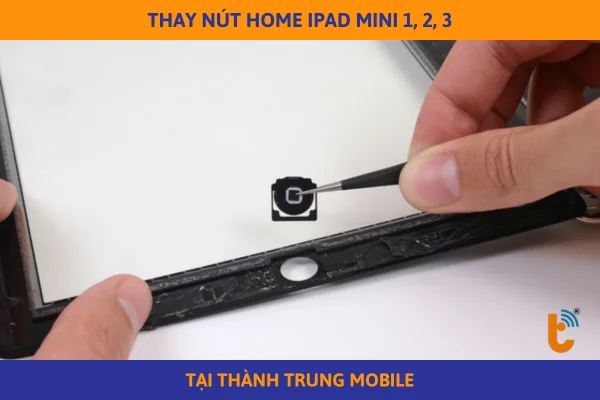 thay-nut-home-ipad-mini-3-2-1-anh-gioi-thieu