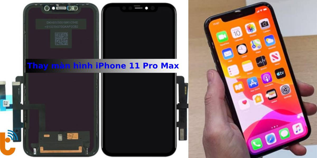 Thay màn hình iPhone 11 Pro Max tại Thành Trung Mobile