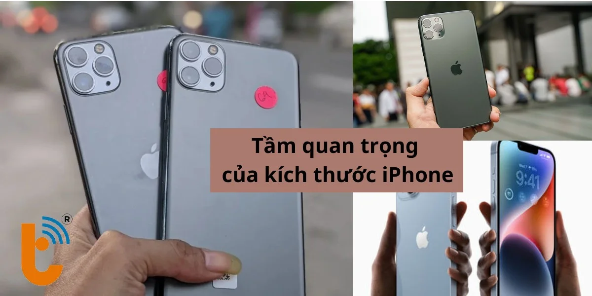 Tầm quan trọng của kích thước iPhone