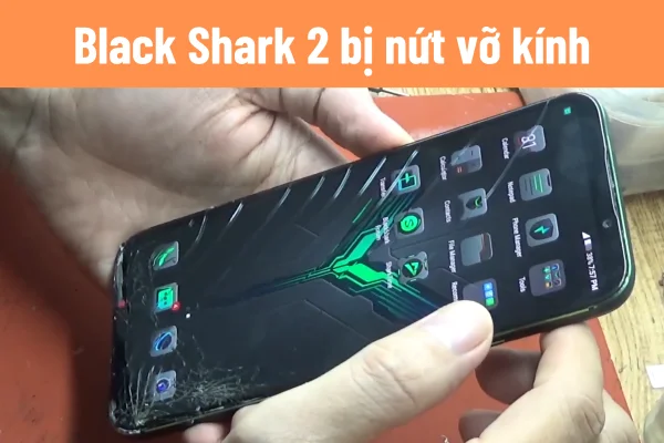 ep-kinh-black-shark-2