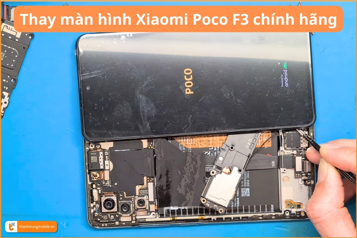 Thay màn hình Xiaomi Poco F3 chính hãng - Thành Trung Mobile 