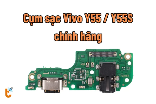 cum-chan-sac-vivo-y55