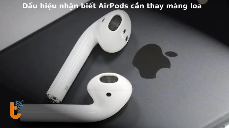 Dấu hiệu nhận biết cần thay màn loa AirPods