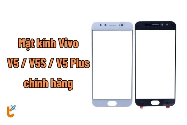 ep-kinh-vivo-v5-plus