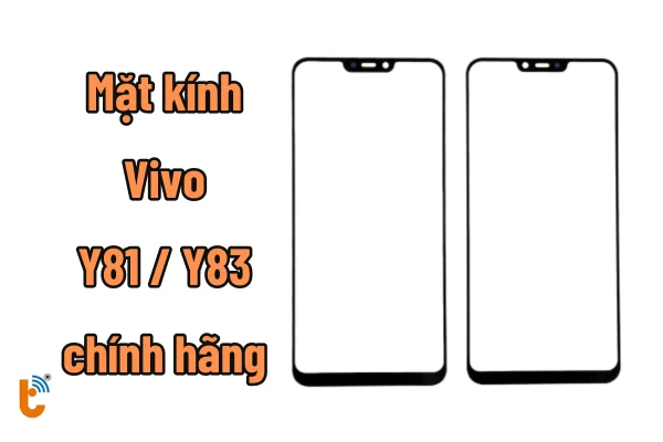 thay-kinh-vivo-y81