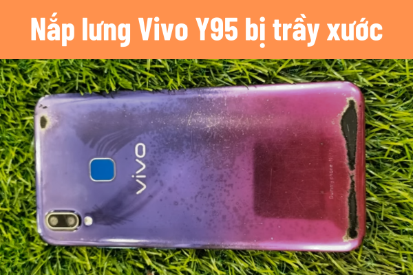 thay-lung-vivo-y91