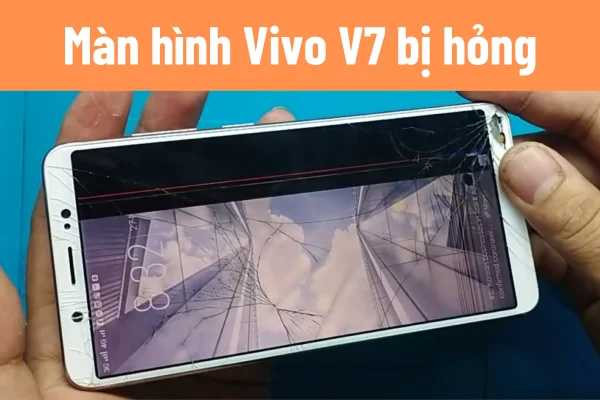 thay-man-vivo-v7-plus