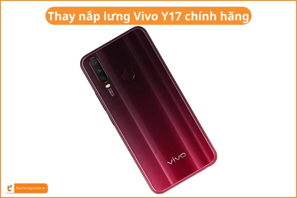 thay-nap-lung-vivo-y17-chinh-hang