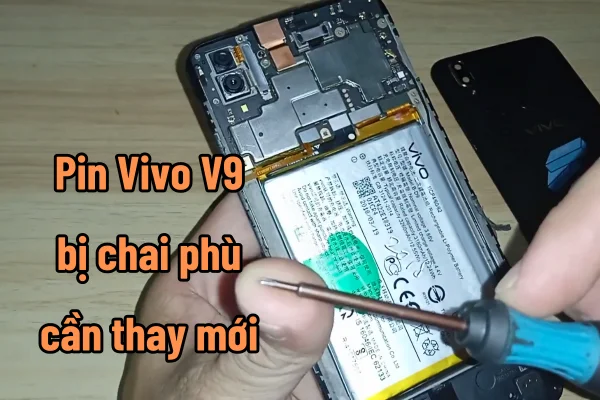 thay-pin-vivo-v9-youth