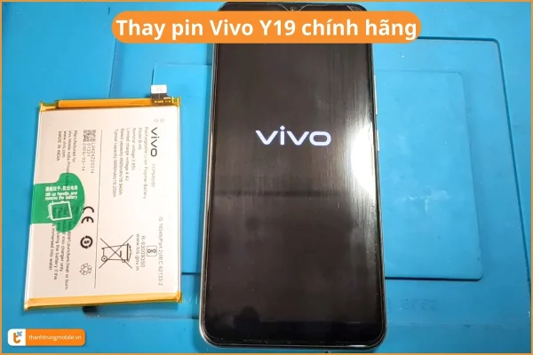 thay-pin-vivo-y19-chinh-hang