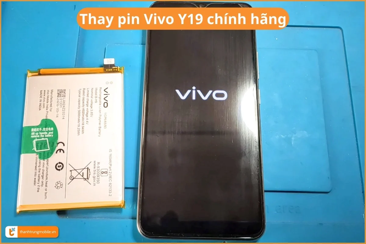 Thay pin Vivo Y19 chính hãng