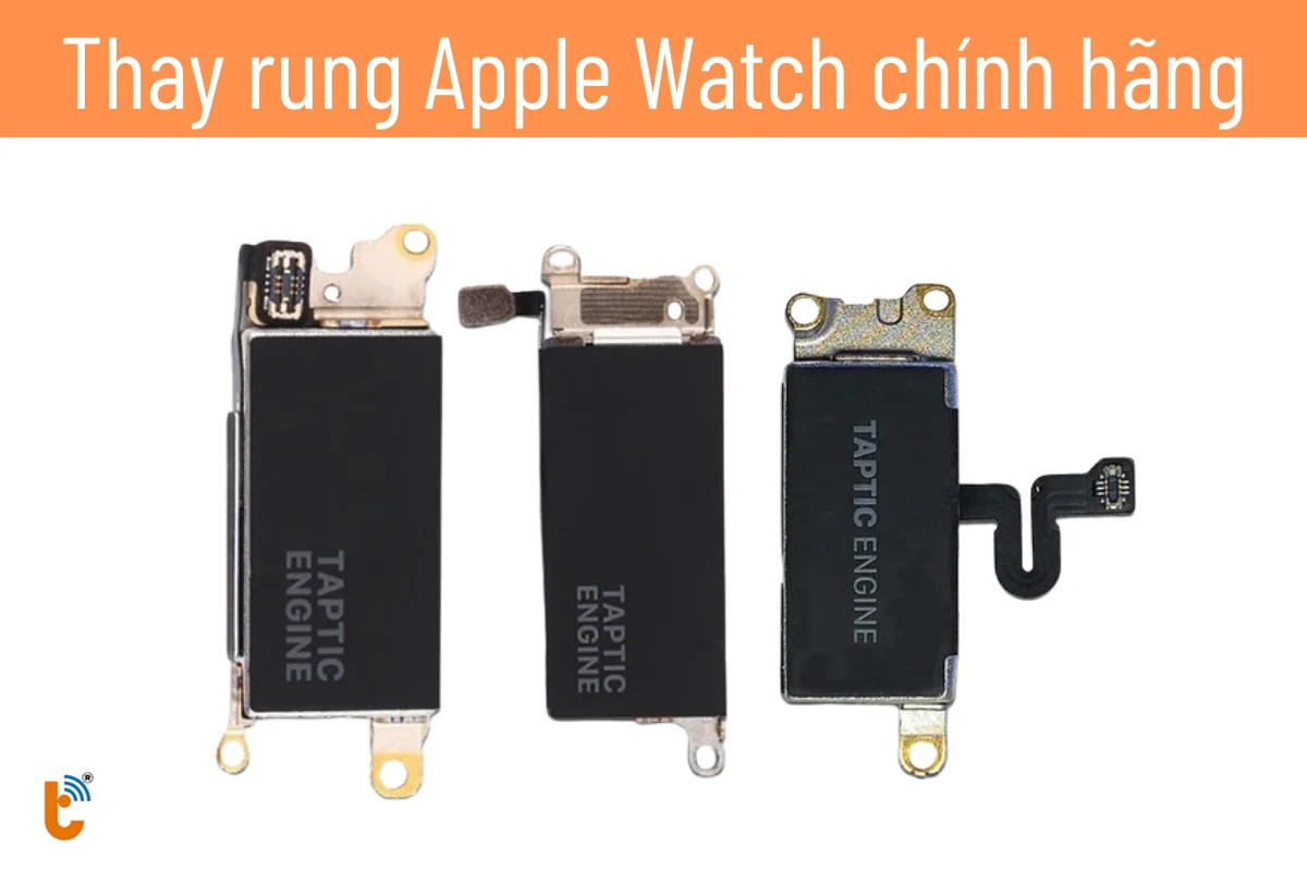 Thay rung Apple Watch giá rẻ