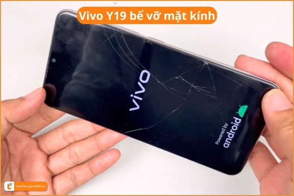 vivo-y19-be-vo-mat-kinh