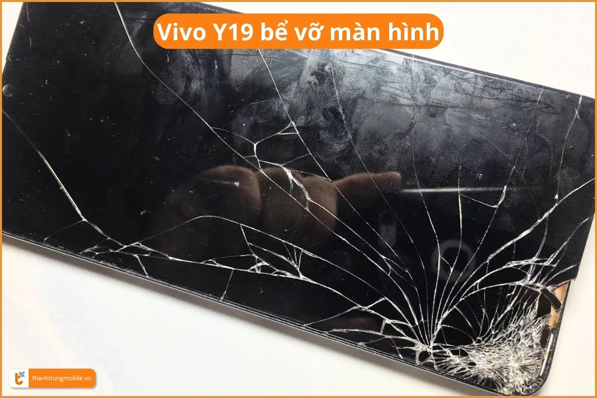 Vivo Y19 bong tróc nắp lưng