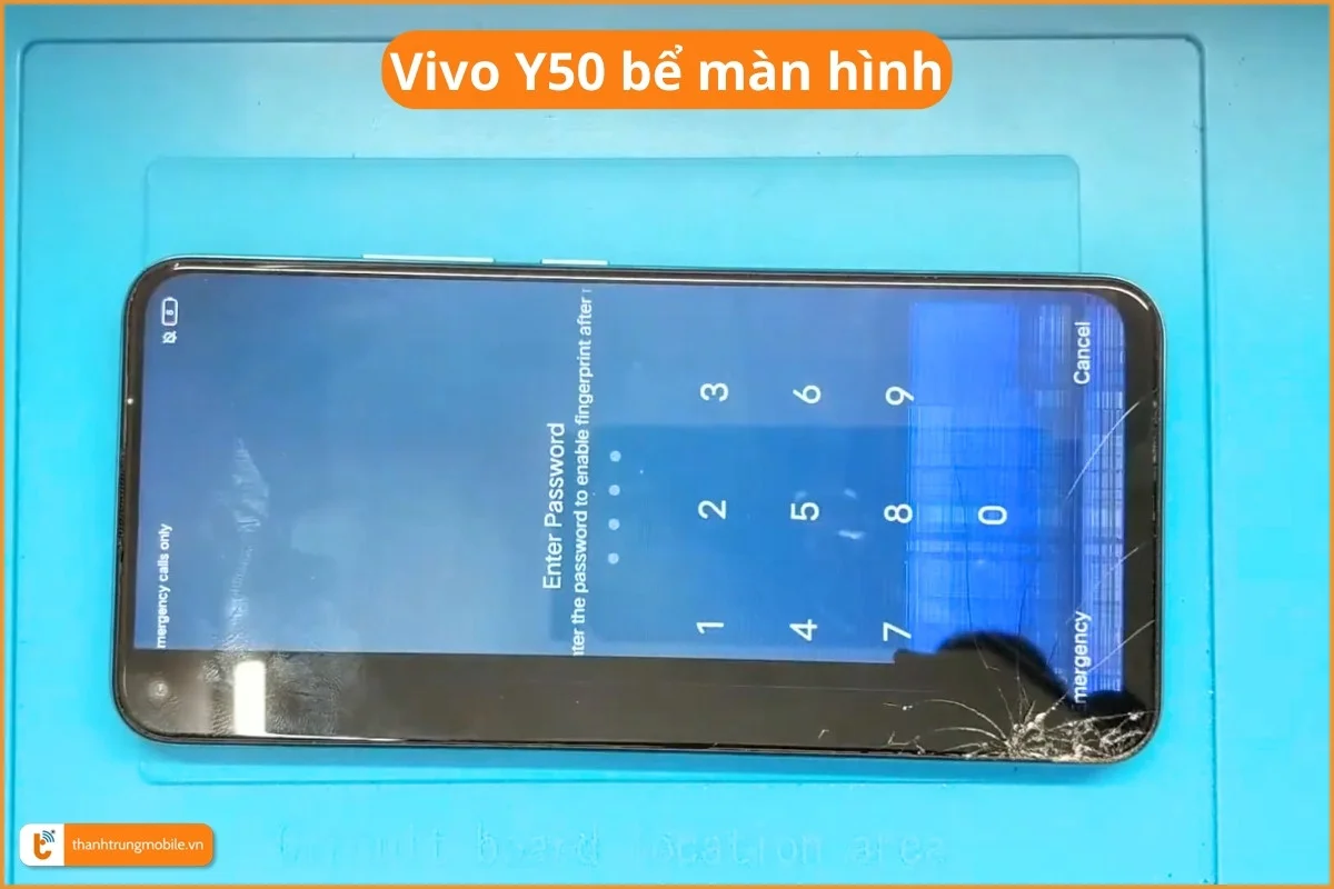 Vivo Y50 bể màn hình