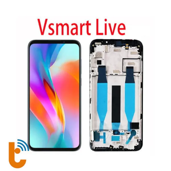 man-hinh-vsmart-live