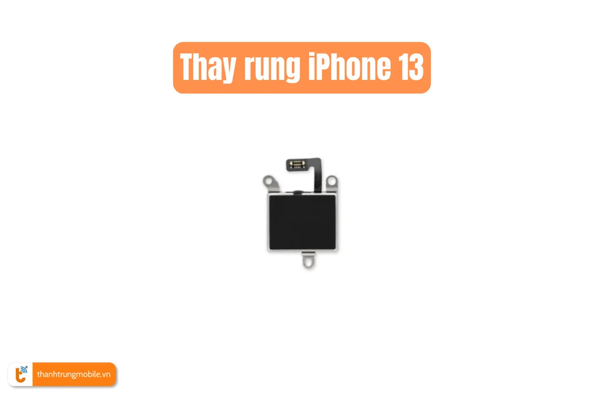 Thay rung iPhone 13