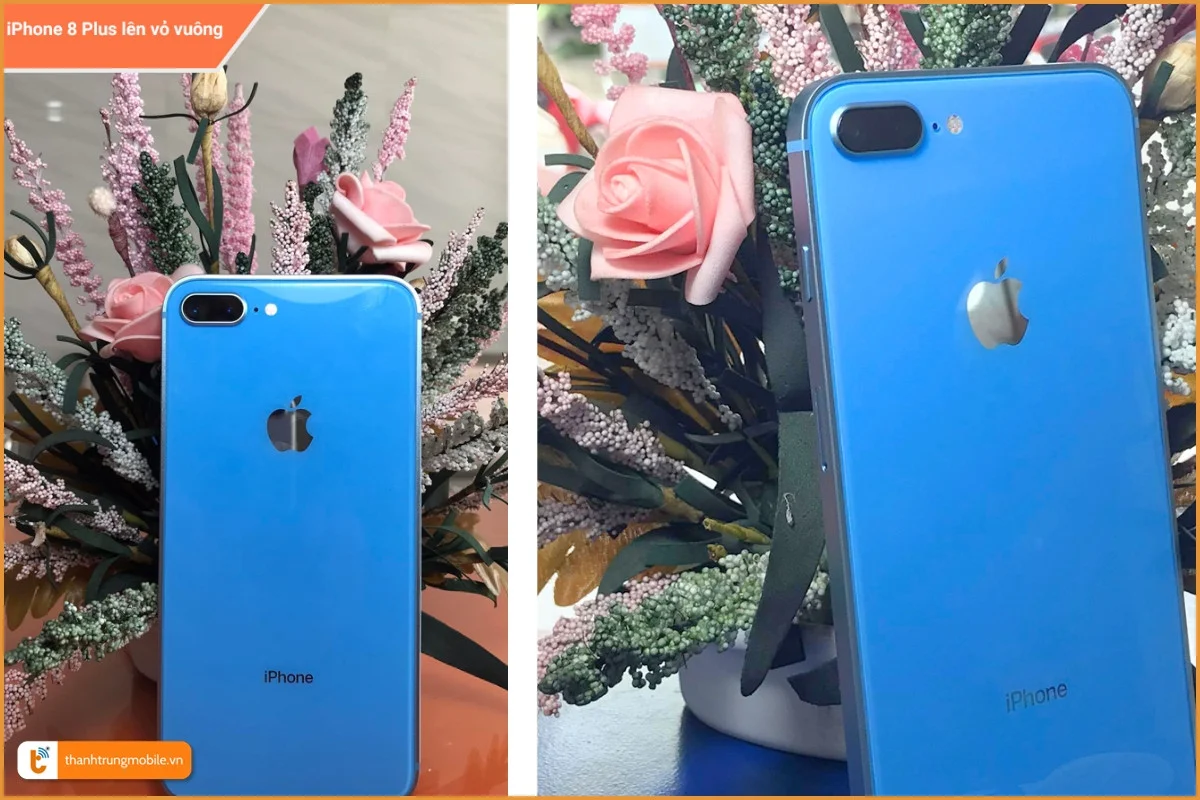 Độ vỏ vuông cho iPhone 7 Plus