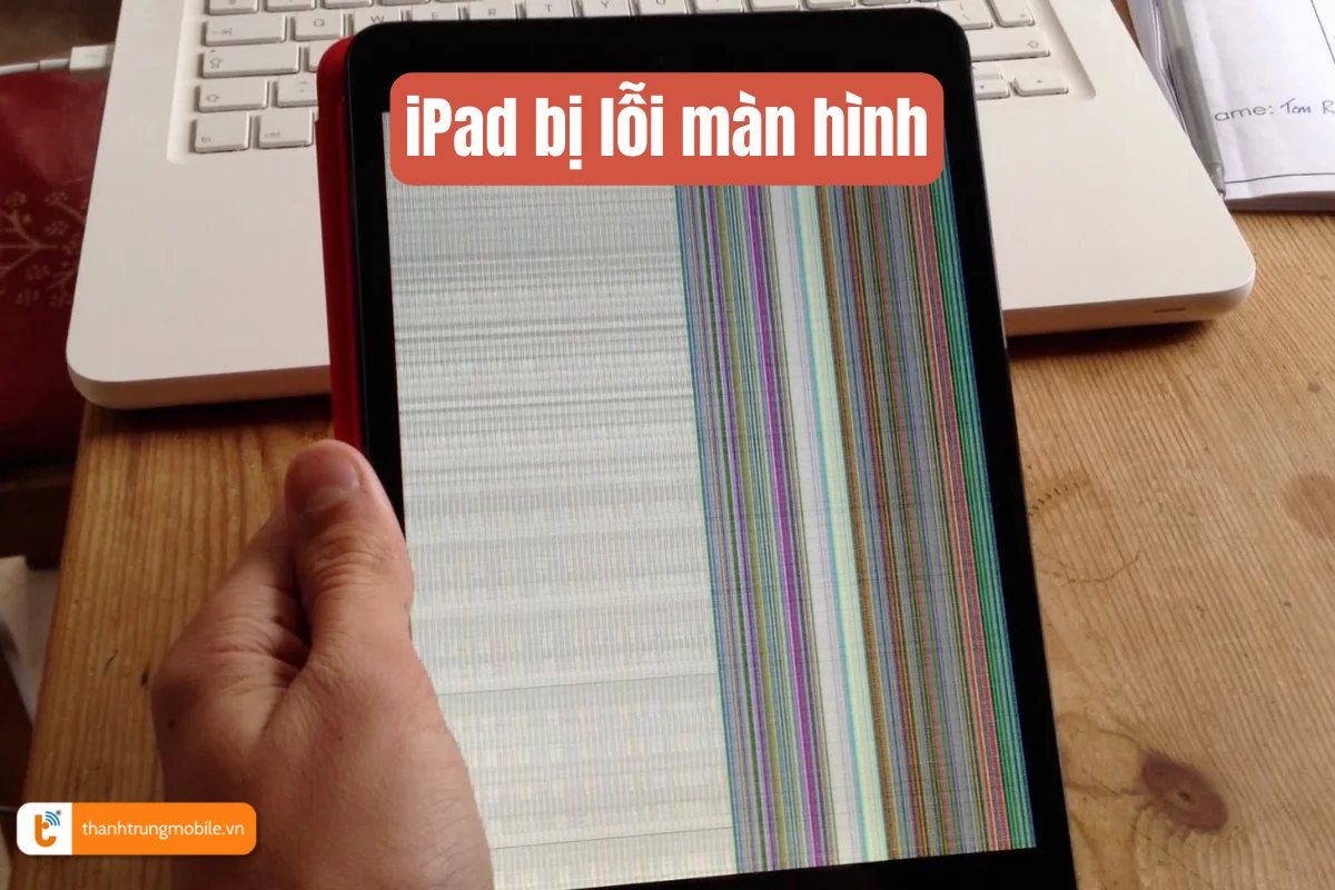 iPad bị lỗi màn hình 1