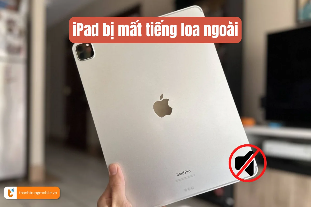 iPad bị mất tiếng loa ngoài