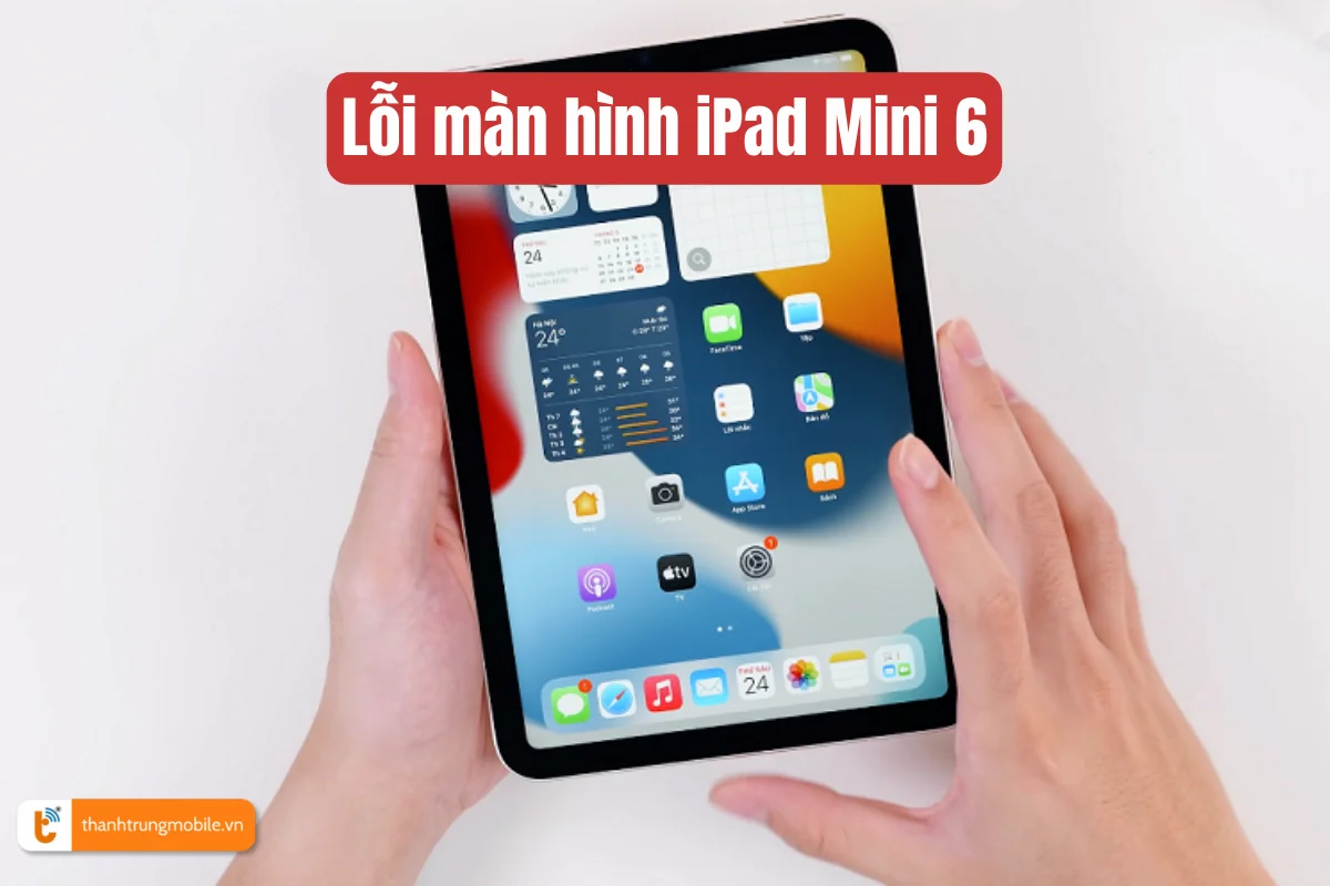 Lỗi màn hình iPad Mini 6