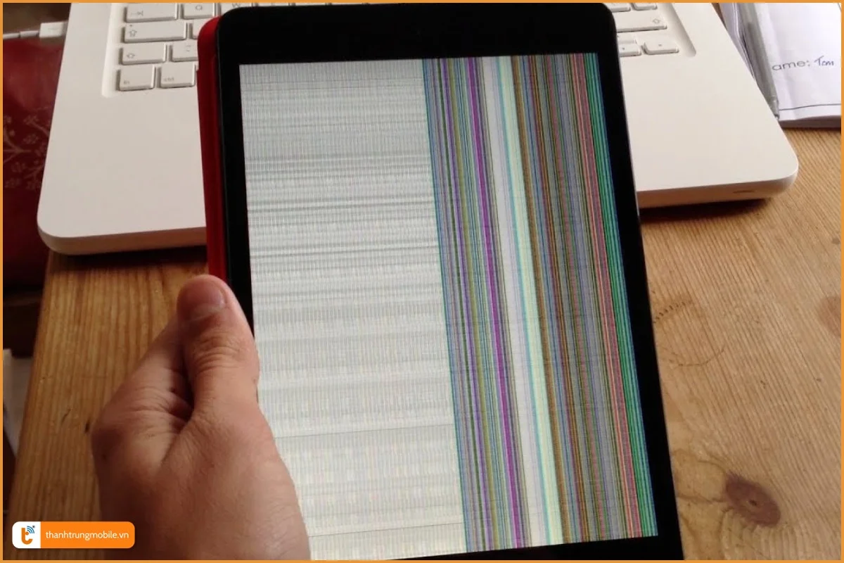 Màn hình iPad 3 lỗi sọc không hiển thị được hình