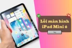 Top những lỗi màn hình iPad Mini 6 thường gặp nhất!