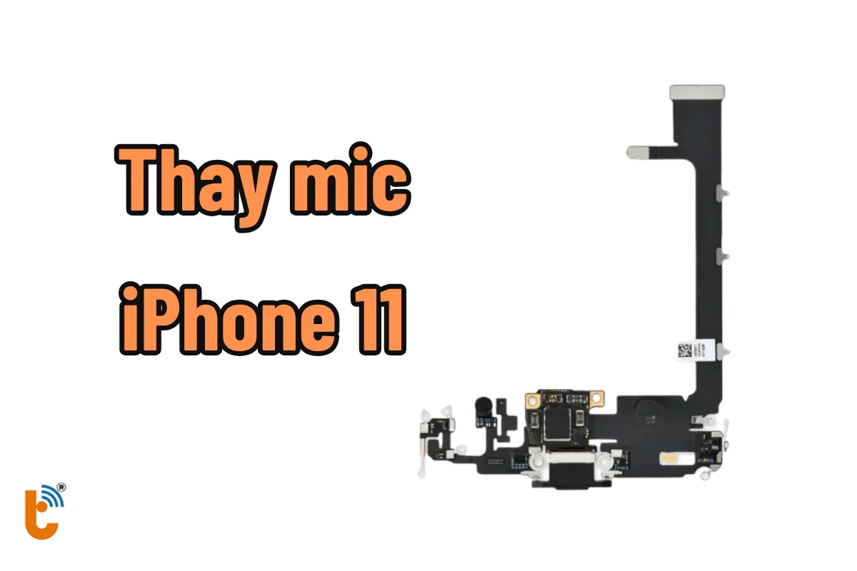 Thay mic iPhone 11 chính hãng - Thành Trung Mobile 