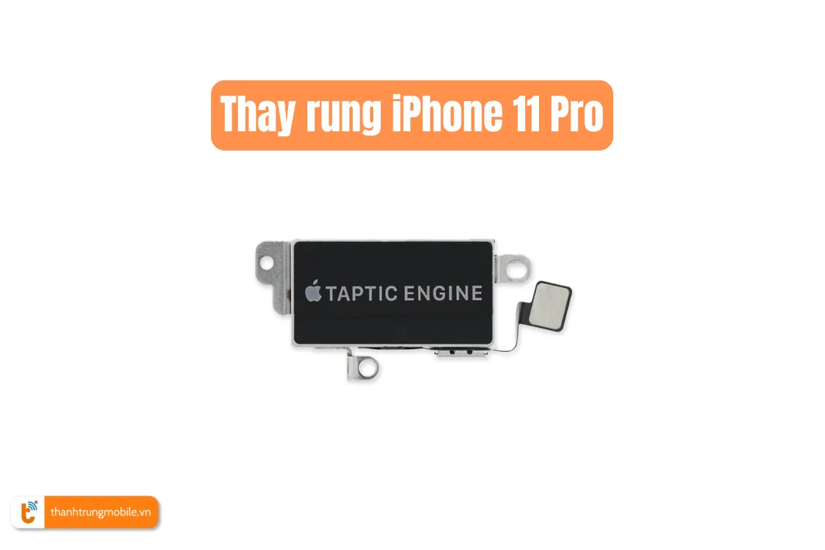 Thay rung iPhone 11 Pro