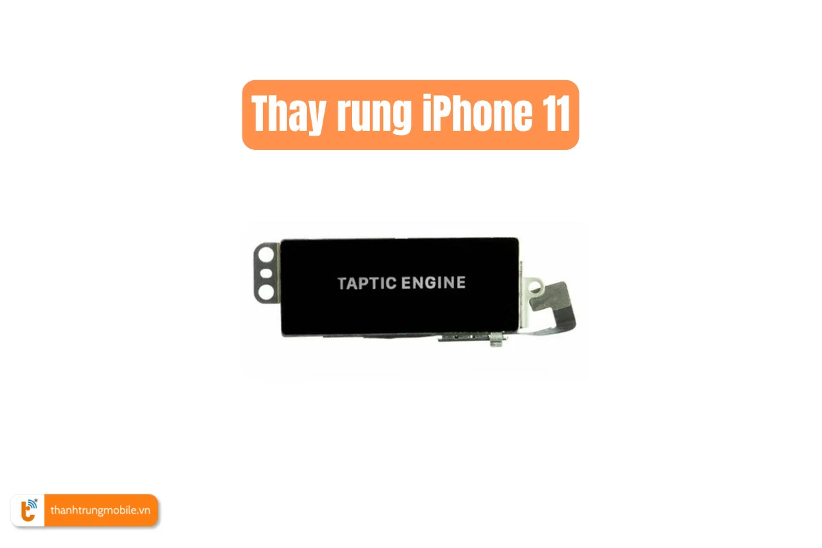 Thay rung iPhone 11