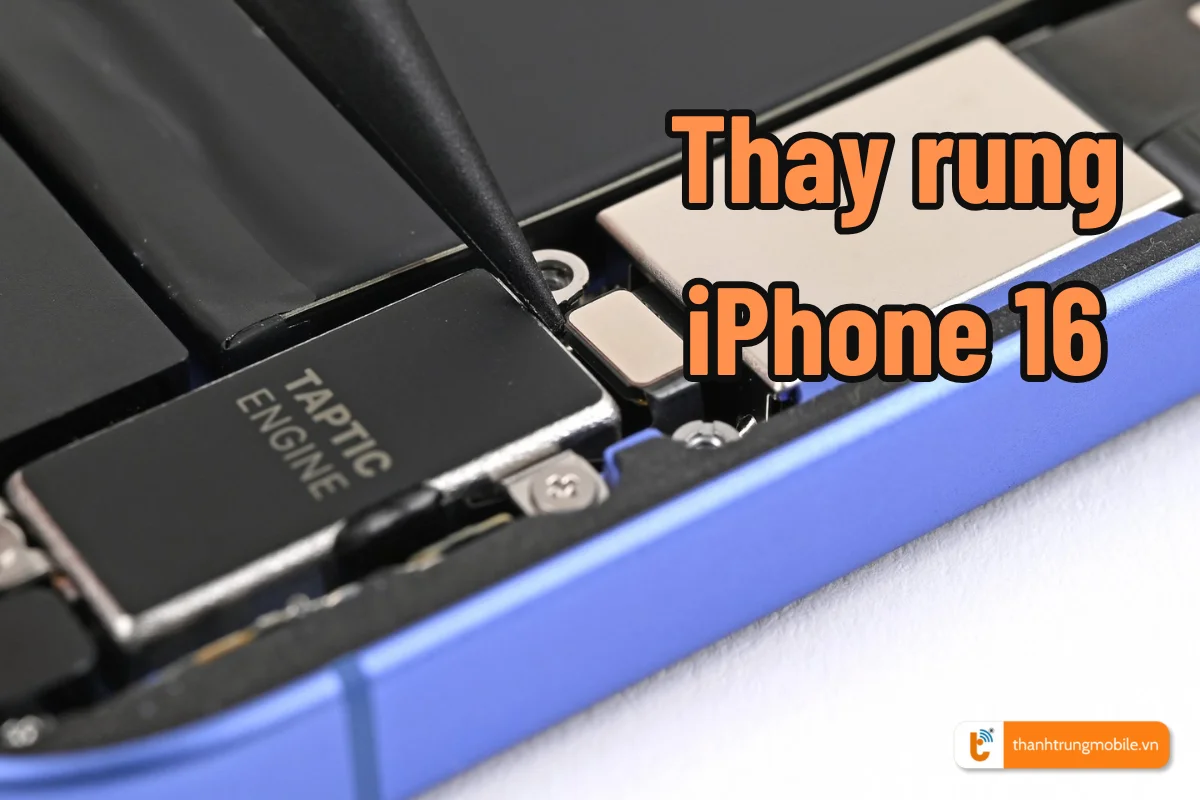 Thay rung iPhone 16 (2)