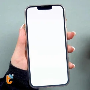 Sửa lỗi màn hình trắng iPhone X | XS | XS Max | XR