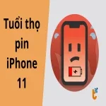 Tuổi thọ pin iPhone 11 là bao lâu? Khi nào nên thay pin?
