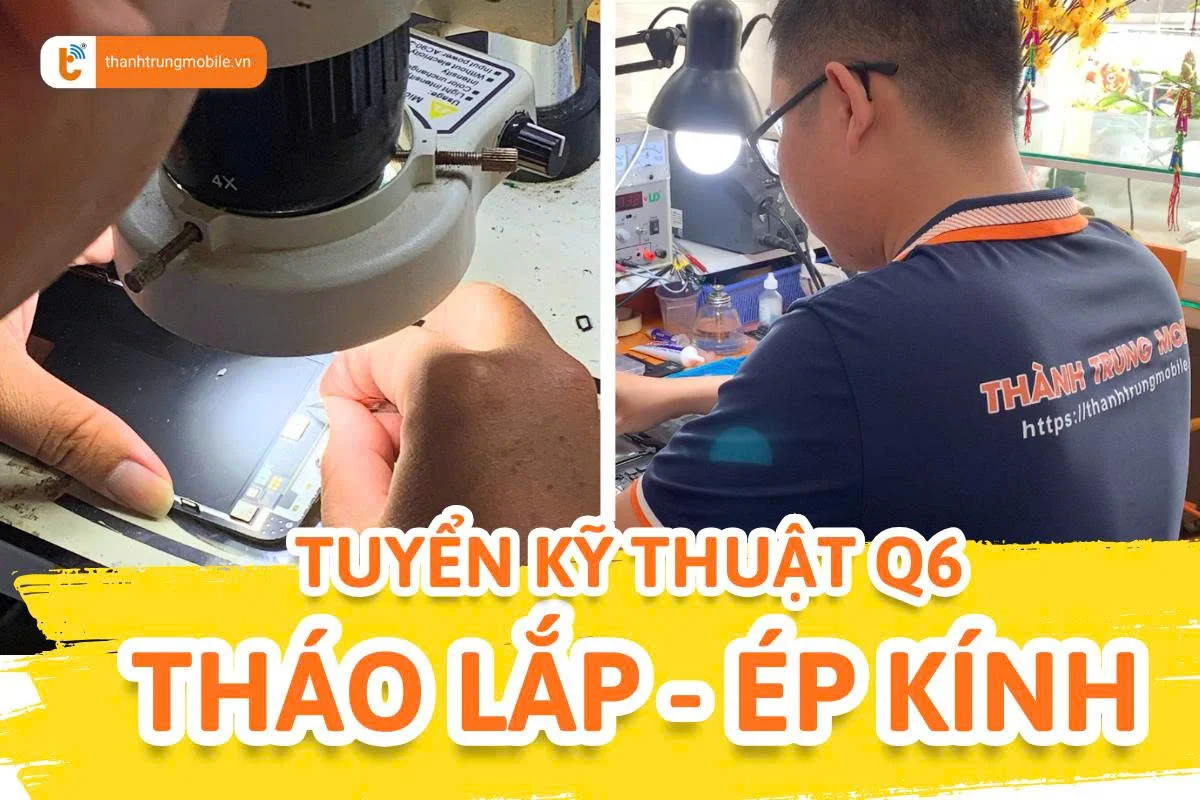 tuyển dụng q6