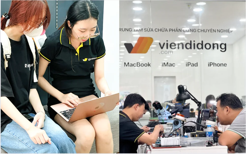 Vien-di-dong-2